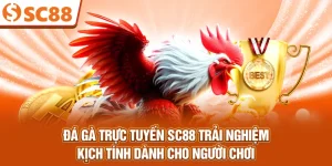 da-ga-truc-tuyen-sc88-trai-nghiem-kich-tinh-danh-cho-nguoi-choi