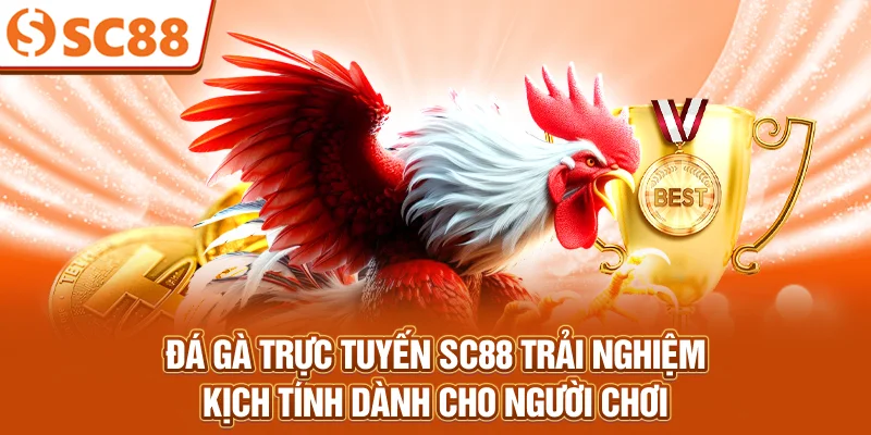 da-ga-truc-tuyen-sc88-trai-nghiem-kich-tinh-danh-cho-nguoi-choi
