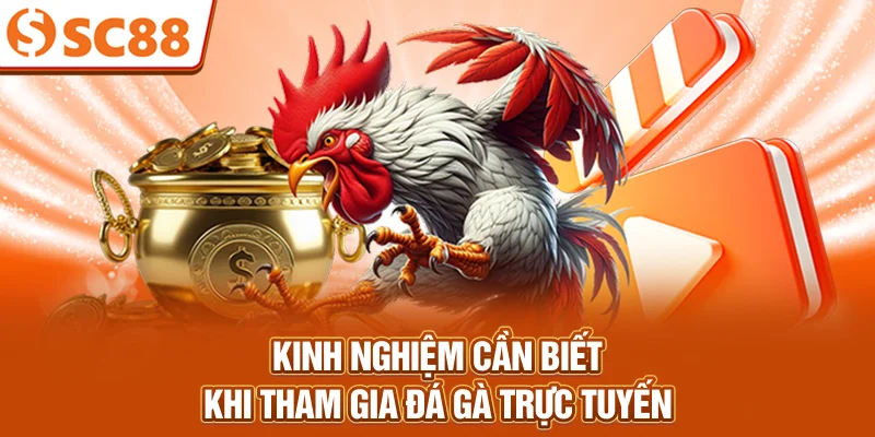kinh-nghiem-can-biet-khi-tham-gia-da-ga-truc-tuyen