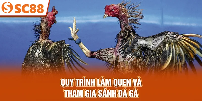 quy-trinh-lam-quen-va-tham-gia-sanh-da-ga