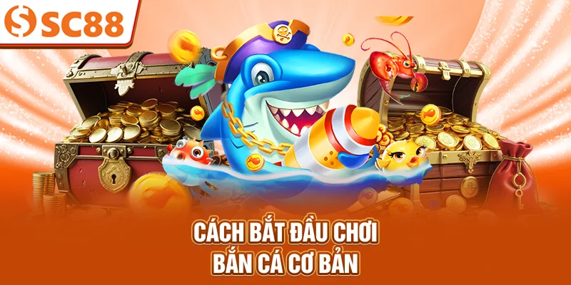 Cách bắt đầu chơi bắn cá cơ bản