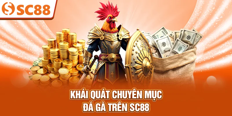 Khái quát chuyên mục đá gà trên SC88